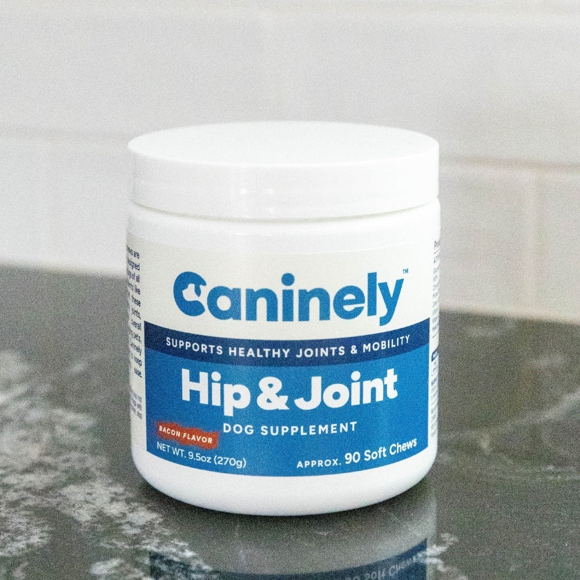 Caninely Hip & Joint dog supplement jar on a reflective surface with a tiled wall background