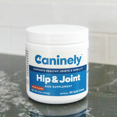 Caninely Hip & Joint dog supplement jar on a reflective surface with a tiled wall background