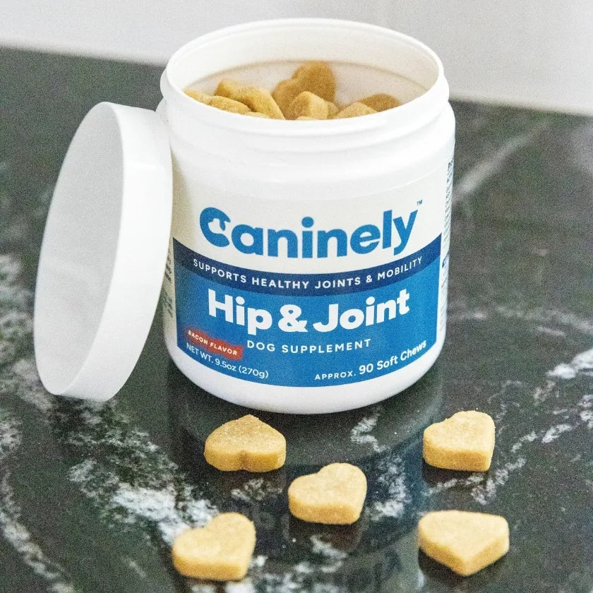 Caninely Hip & Joint dog supplement container with heart-shaped soft chews on a dark surface