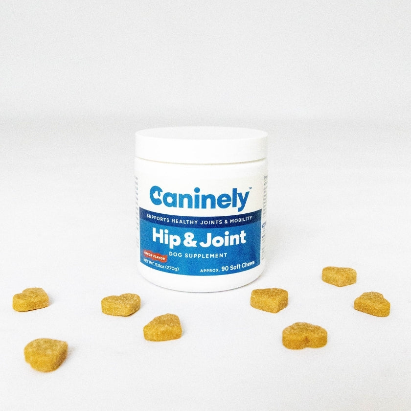 Caninel Hip & Joint dog supplement container with scattered soft chews on a white background