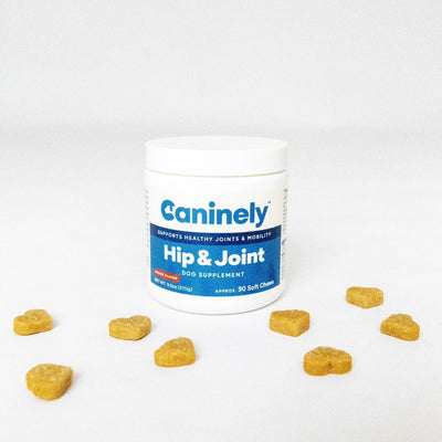 Caninel Hip & Joint dog supplement container with scattered soft chews on a white background