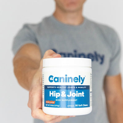 Person holding a Caninely Hip & Joint supplement container with a gray t-shirt in the background