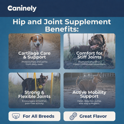 Chicken-Free Hip & Joint Chews For Dogs image 9
