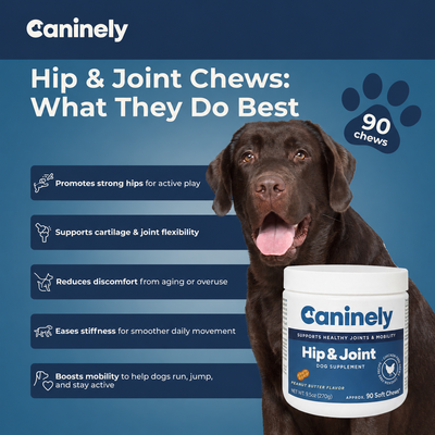 Chicken-Free Hip & Joint Chews For Dogs image 5
