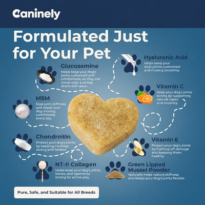 Chicken-Free Hip & Joint Chews For Dogs image 8