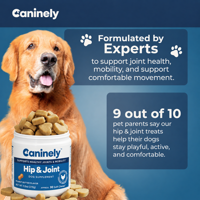 Chicken-Free Hip & Joint Chews For Dogs image 6