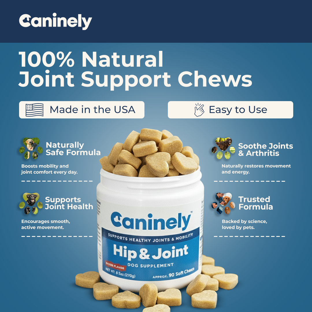 Supplement Infographic Joint Chews
