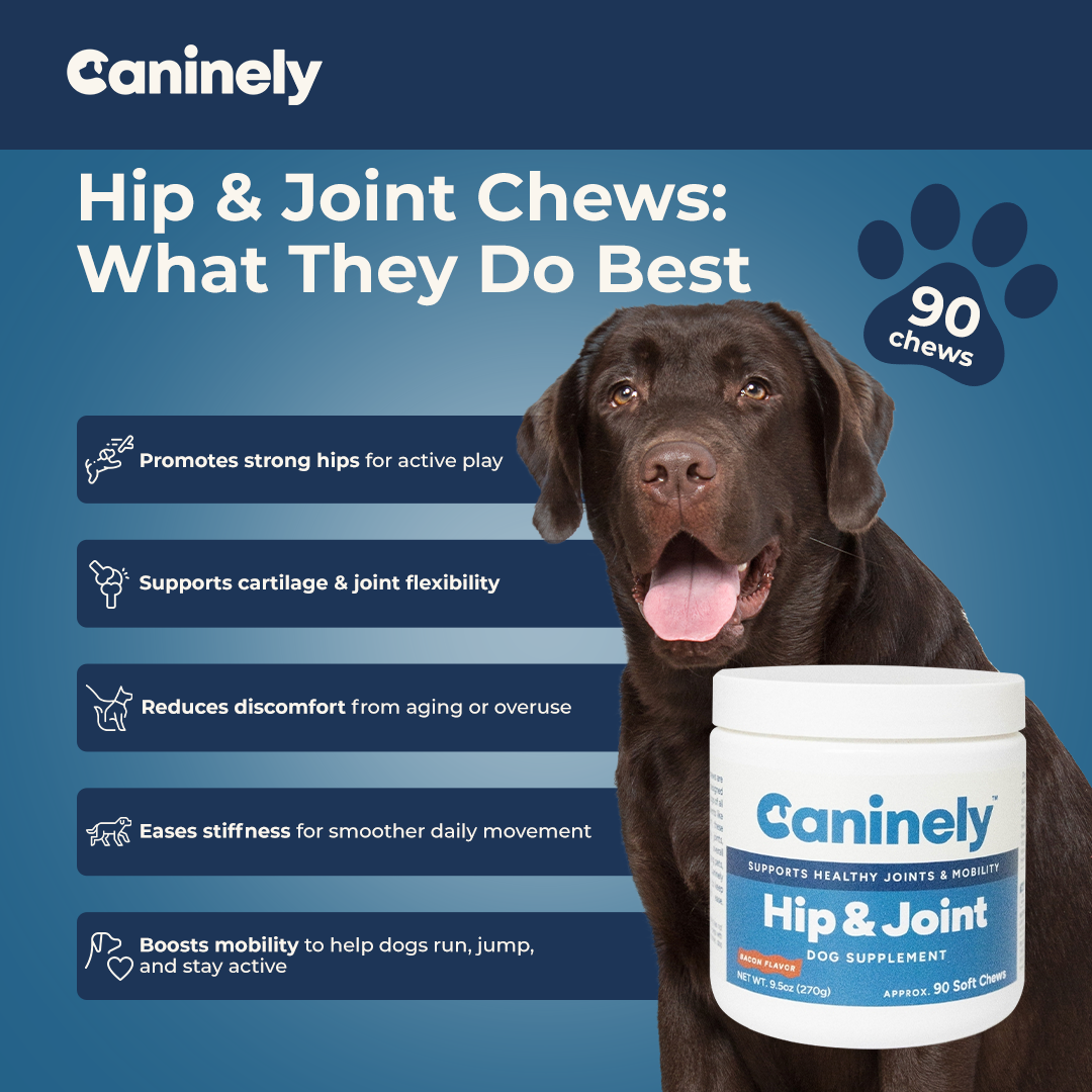 Caninely Hip & Joint Chews packaging with a dog and product details on a blue background