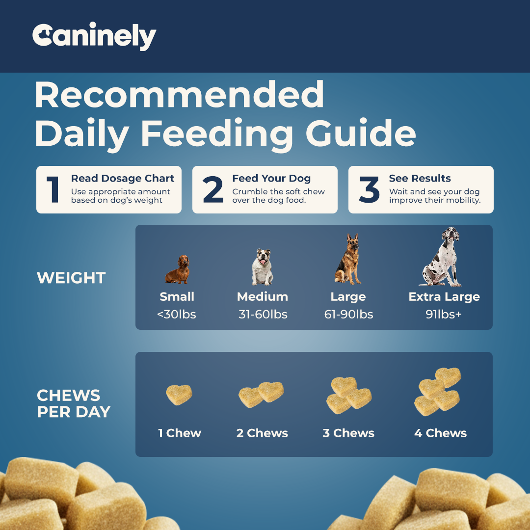 Caninely recommended daily feeding guide for dogs with dosage chart and visual representation of chews per day.