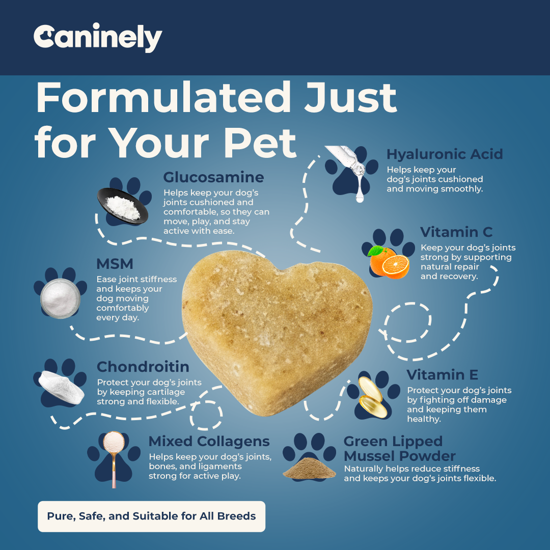 Dog treat with health benefits text on a blue background