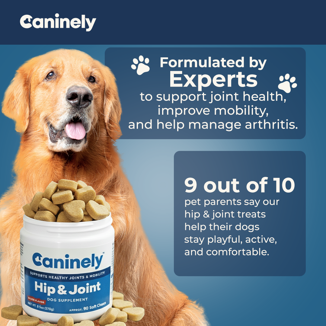 Caninely Hip & Joint supplement for dogs with a golden retriever and text about joint health benefits.