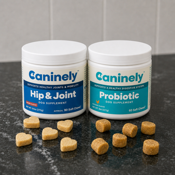 Two Jars of Dog Supplements next to one another.