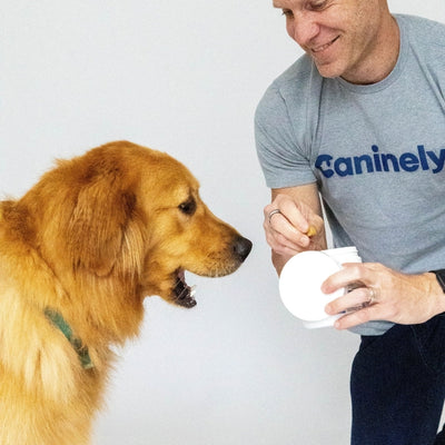Person in gray shirt feeding a dog from a white bowl.