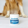 Caninely Hip & Joint supplement for dogs with a dog in the background