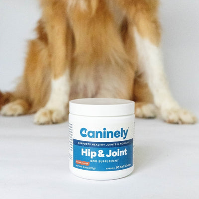 Caninely Hip & Joint supplement for dogs with a dog in the background
